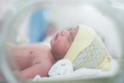Newborn baby in ICU with possible cerebral palsy symptoms.