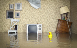 Flood waters fill a living room.