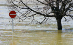 A sign and a tree in flood water
