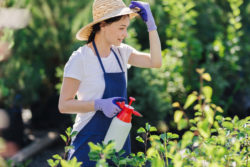 Woman spraying garden with herbacide