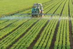 Farming tractor spraying crops
