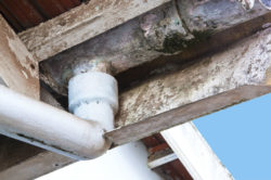 A gutter wflaking with asbestos is a risk to workers, who can get cancer from asbestos.
