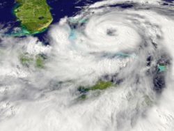 destructive winds of hurricane michael