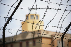 Barbed wire with tower in the background