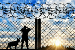 A border guard with a dog looks through a fence.