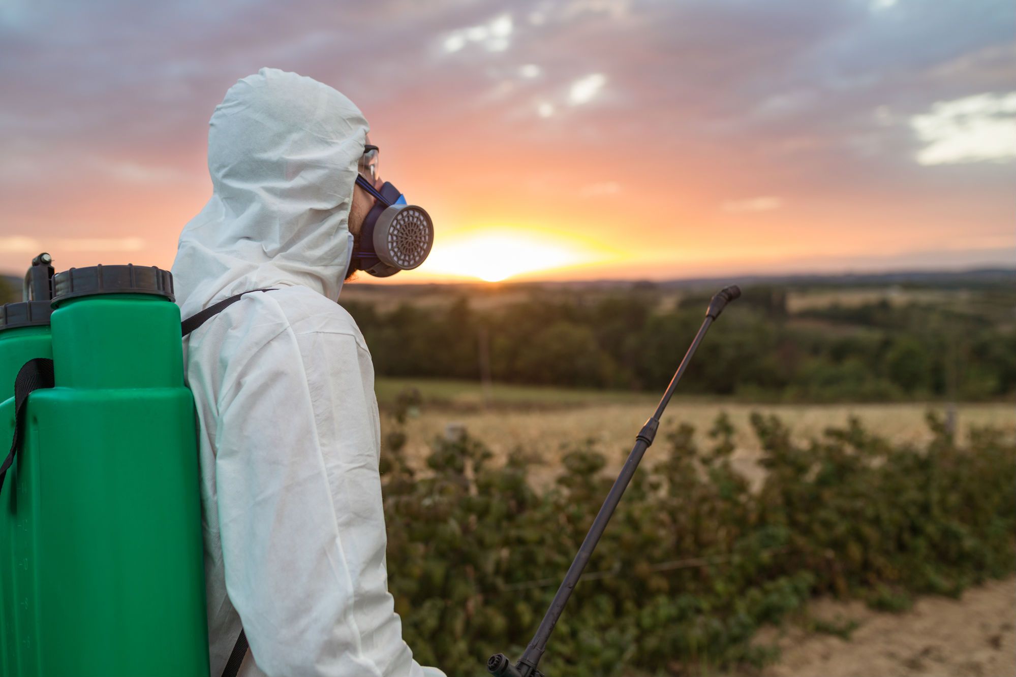 A new verdict could support the Roundup toxic to humans debate, as two plaintiffs were awarded $2 billion for non-Hodgkins lymphoma.