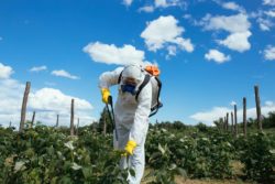 Man spraying herbicide on crops