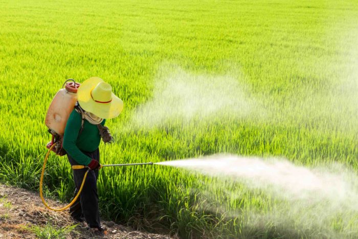 safety of herbicide with glyphosate