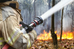 Fire fighter battling wildfire