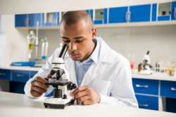 A lab technician looks into a microscope.