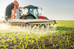 Depite a recent Bloomberg report, Bayer has not proposed a settlement to bring an end to U.S. claims of Roundup cancer, mediator Ken Feinberg notes.