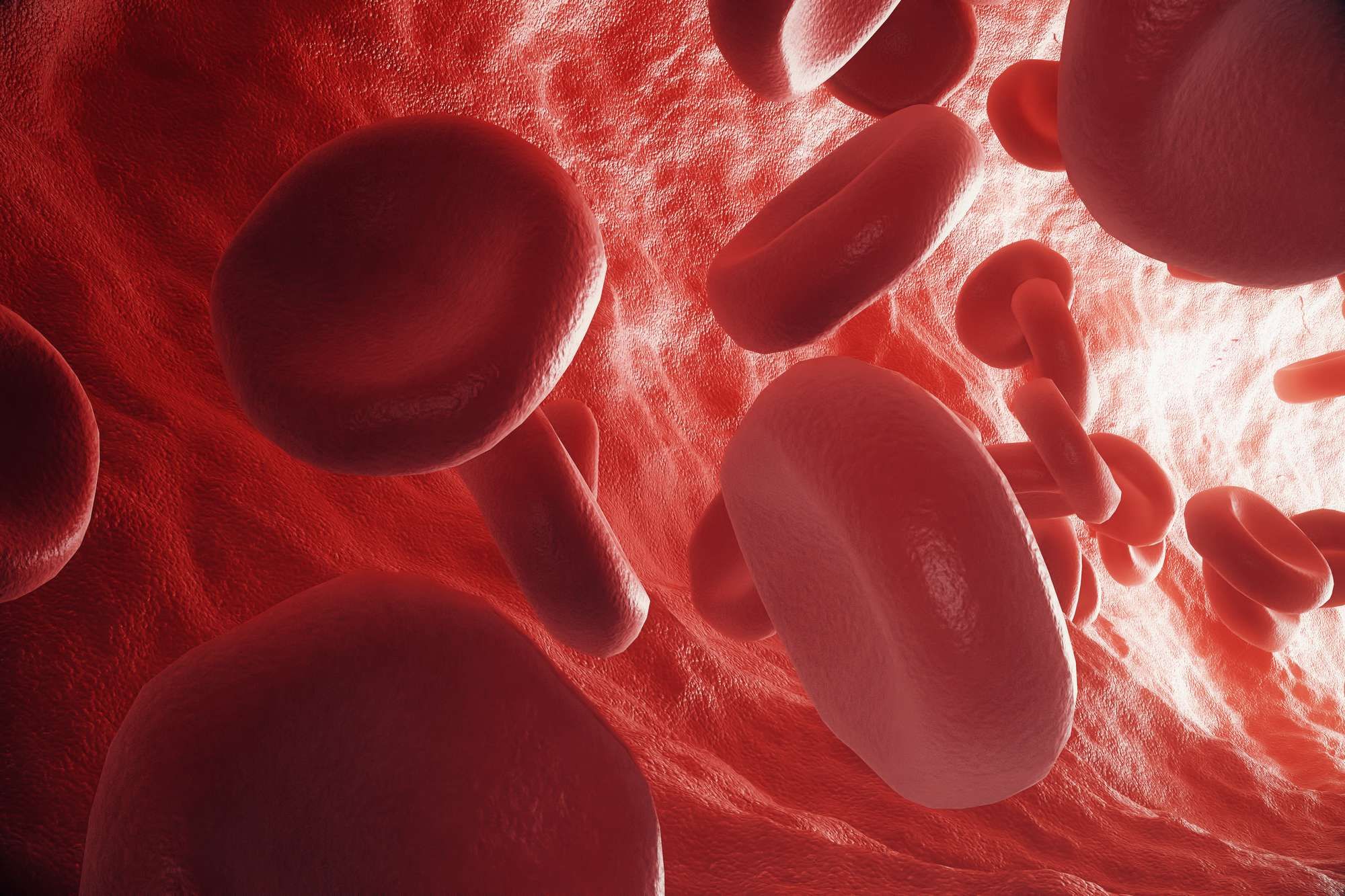blood cells flowing in veins