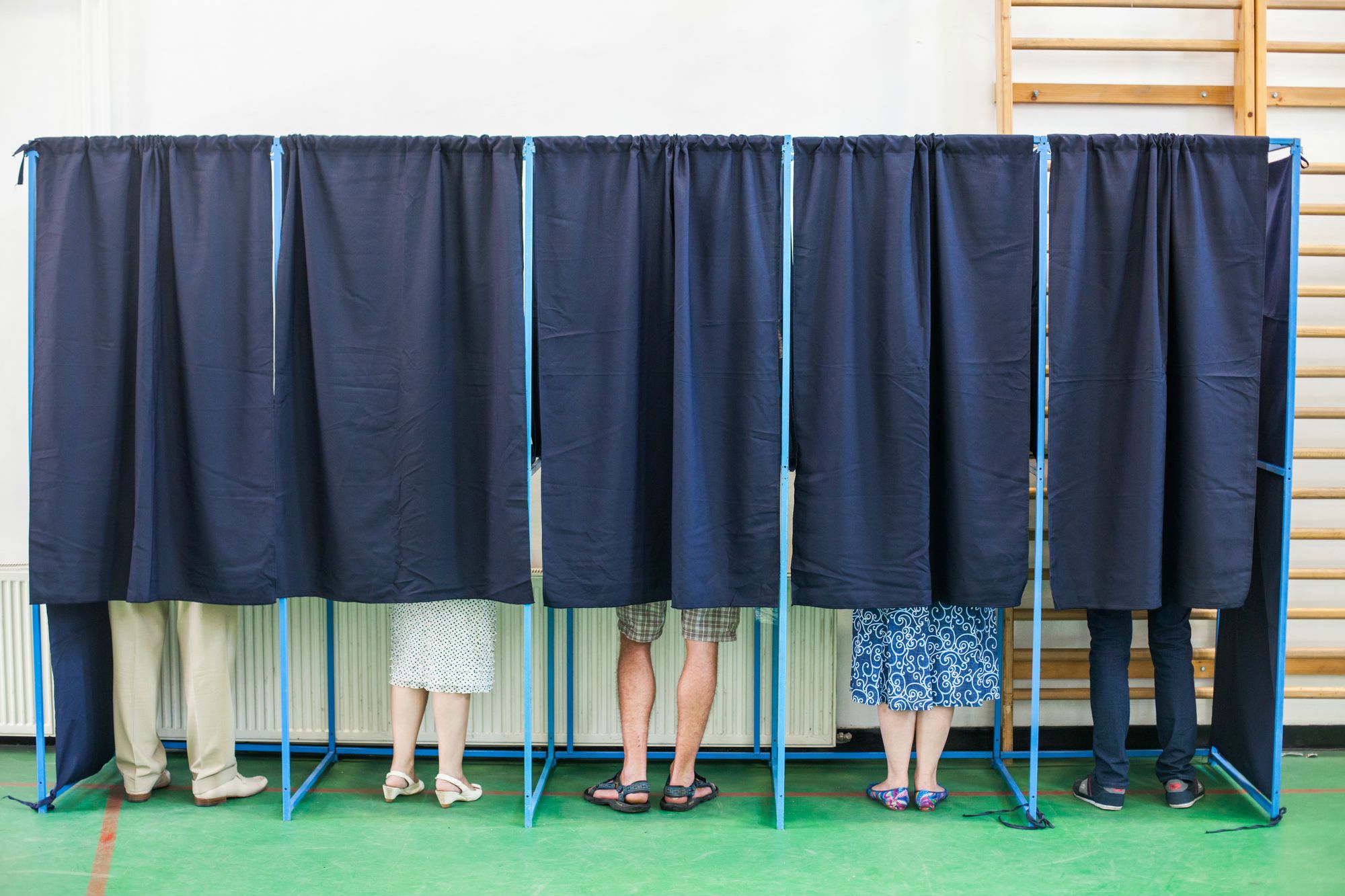 Voters in a row of voting booths