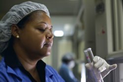 Lab worker looking at test tube