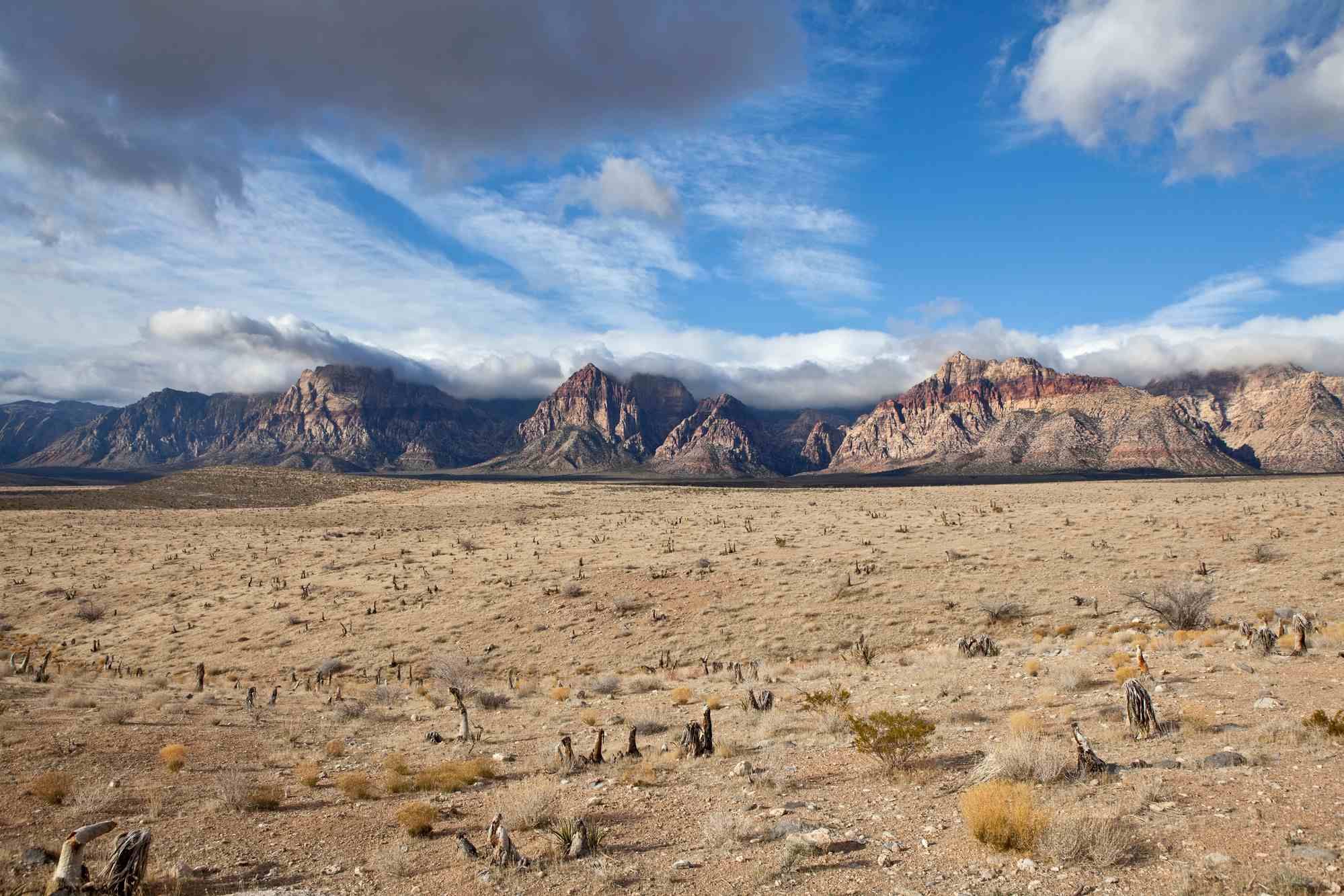 Short Term Asbestos Exposure Reportedly Possible in Las Vegas - Top ...