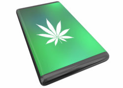 Pot leaf on cell phone