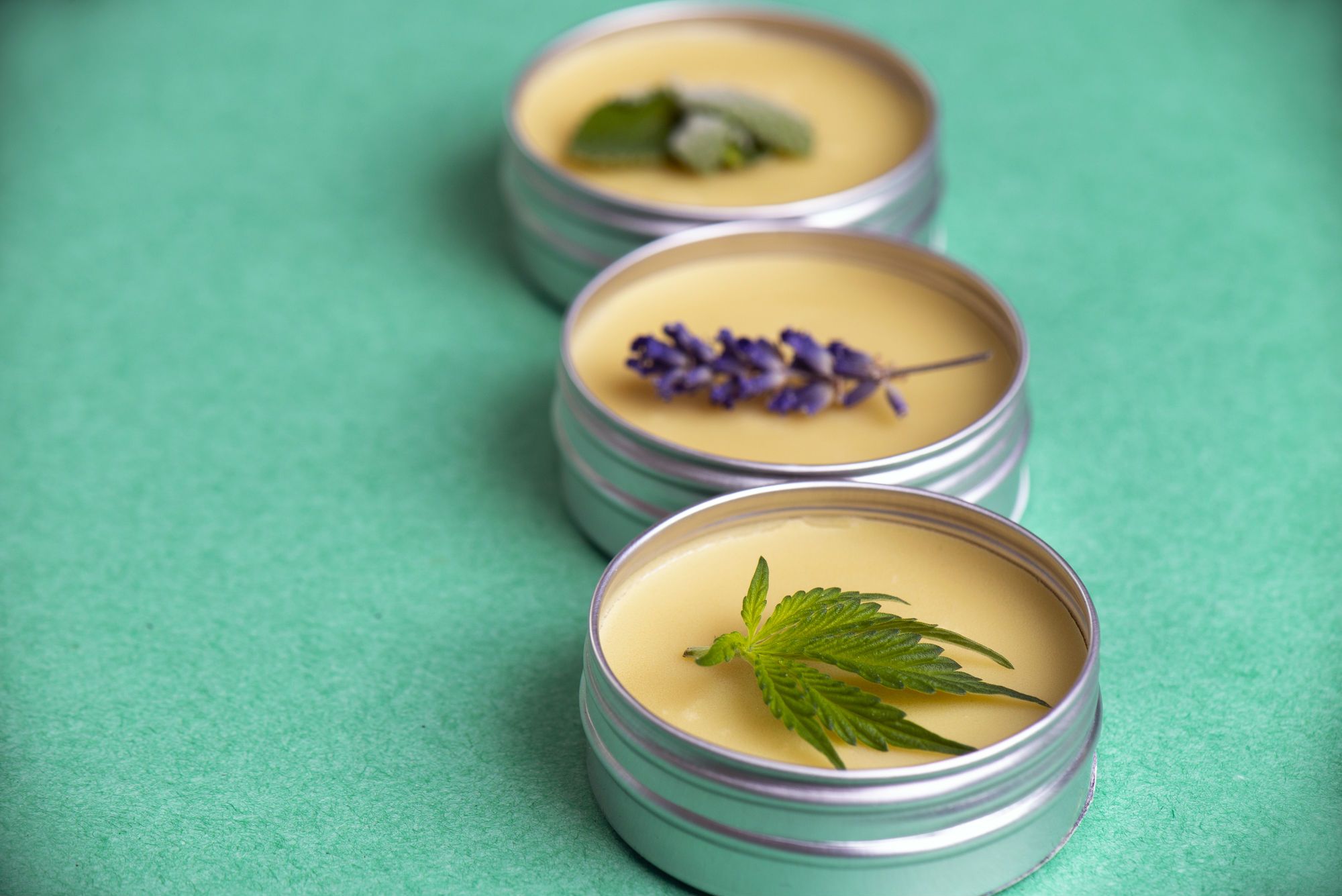 Did You Purchase Charlotte’s Web Canine Hemp Infused Balm? - Top Class 