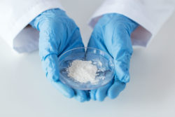 Scientist holding petri dish of white powder