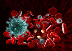 HIV and other bloodborne pathogens