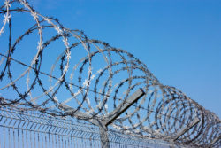 Immigrant detainees in ICE custody