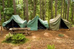 boy scout camp with tents