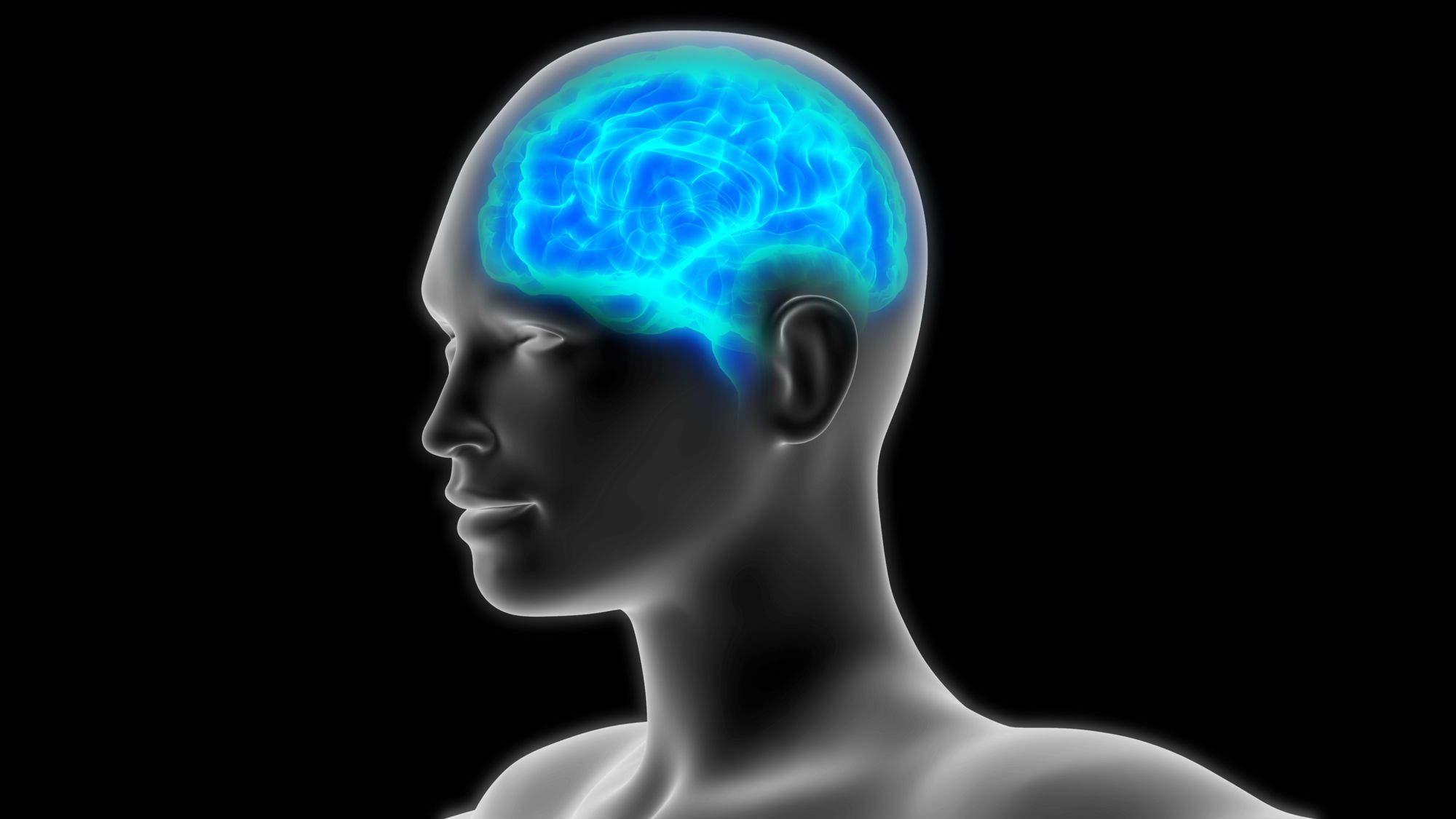 High Dilantin levels can injure one's brain.