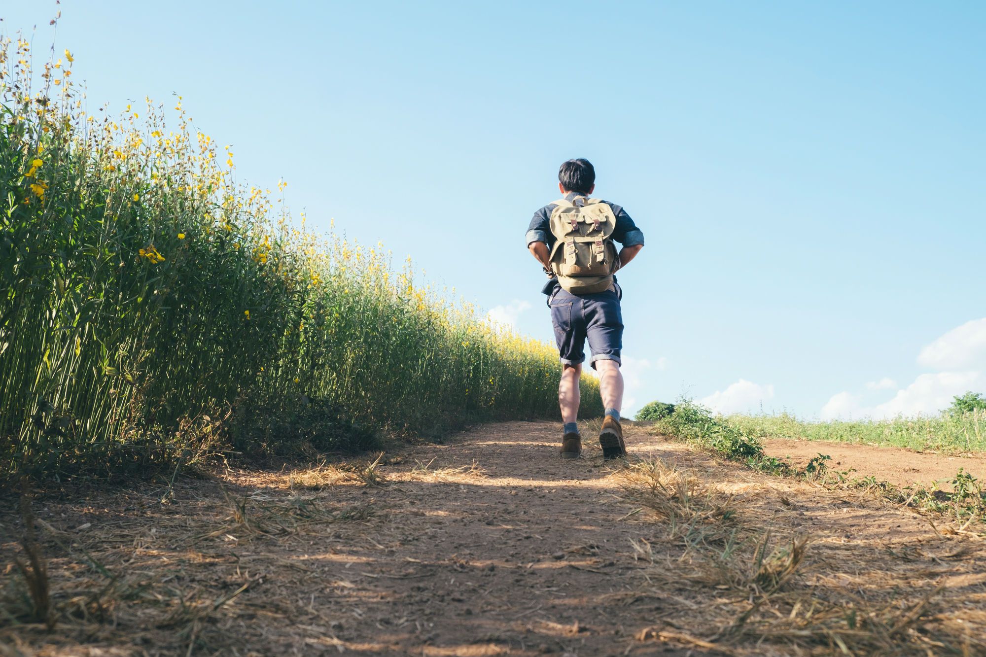 A teen boy wearing a backpack walks away and down a dirt path next to wildflowers