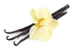 vanilla beans with flower