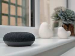 Google Assistant Home Mini