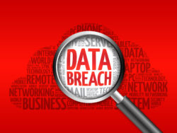 red data breach logo in magnifying glass