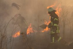 Southern California Edison settles for wildfire damages.