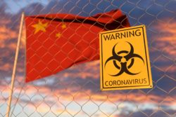 China was the first country to experience the coronavirus, but the outbreak quickly spread.