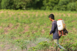 Farmer sprays herbicide on his land