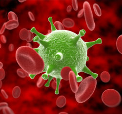 Corona virus attacking blood cells
