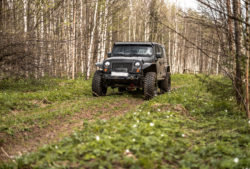 Jeep wrangler in forest