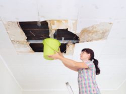 Travelers property damage rot ceiling