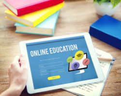 Northeastern University online education