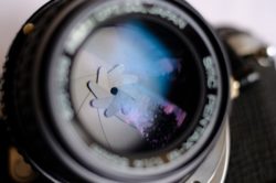 Pentax camera lenses allegedly have a defect which results in dark photos.