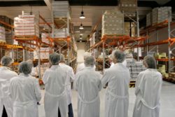 Observers in a pharmaceutical manufacturing facility