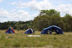 Young men set up tents in a clearing