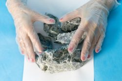 Gloved female hands hold asbestos samples