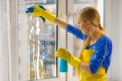 woman cleaning with windex