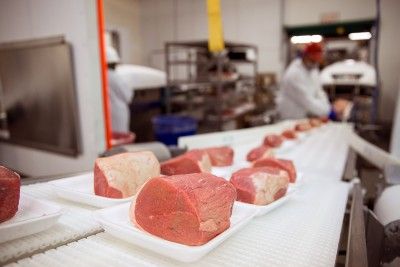 Meat on the line at a meatpacking facility - meatpacking 