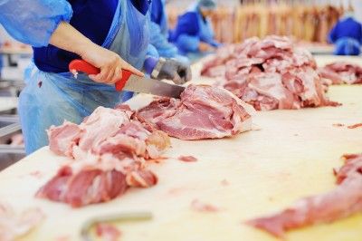 Person in protective clothing processes meat at a meatpacking plant