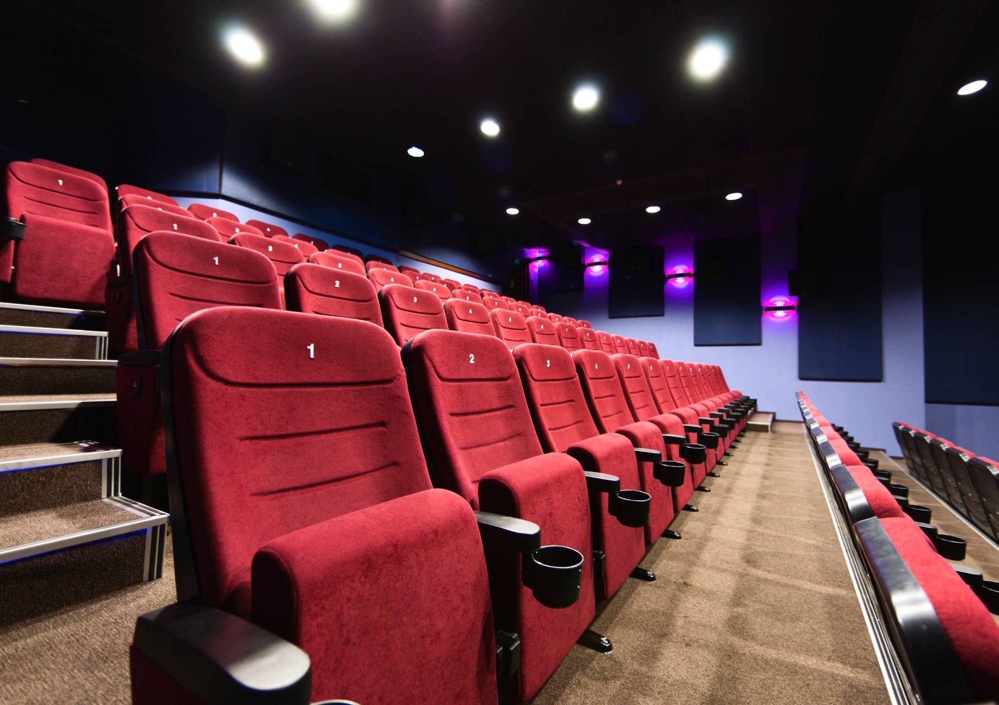Movie theater shutdowns are unconstitutional, according to a recent AMC class action lawsuit.