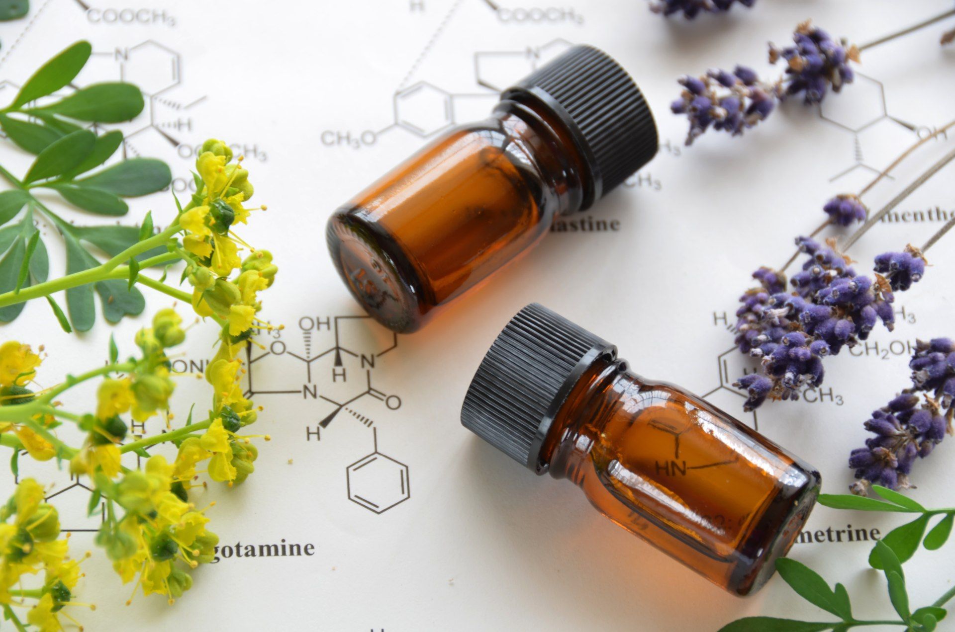 Two brown essential oil bottles lying on chemistry worksheet with yellow and purple flowers - Young Living pyramid scheme