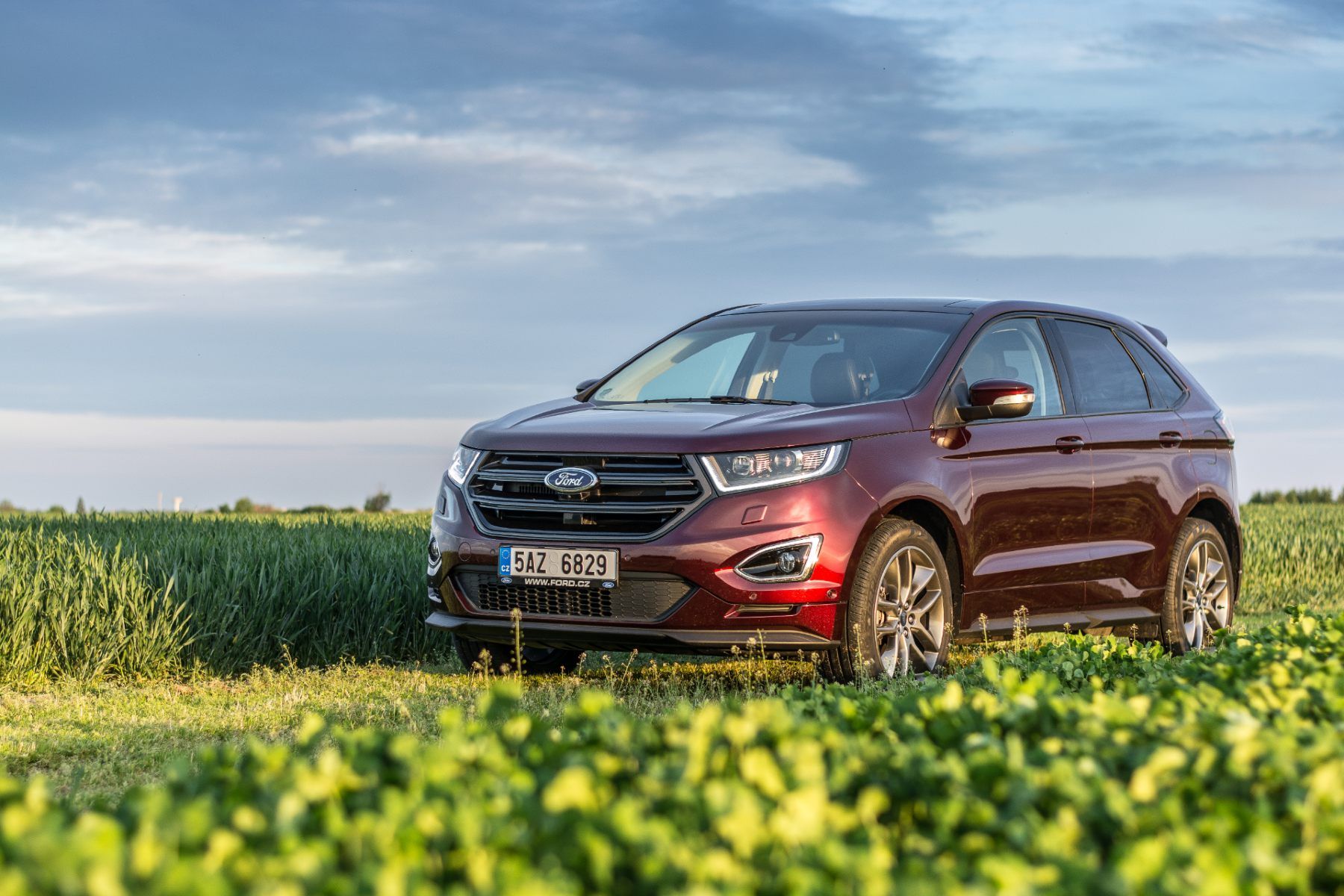 Ford Edge in a field in Czechoslovakia - Ford recall