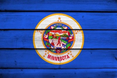 Minnesota flag painted on horizontal wood panels - mail-in ballots