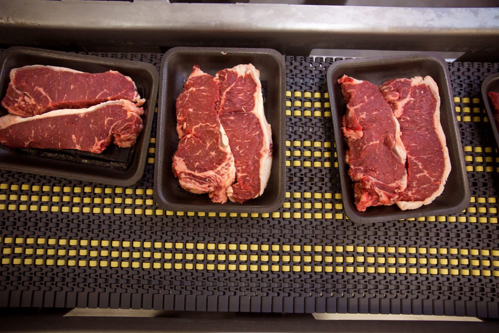 Cuts of beef sit on black styrofoam trays on a conveyor belt at a meat processing plant - beef prices