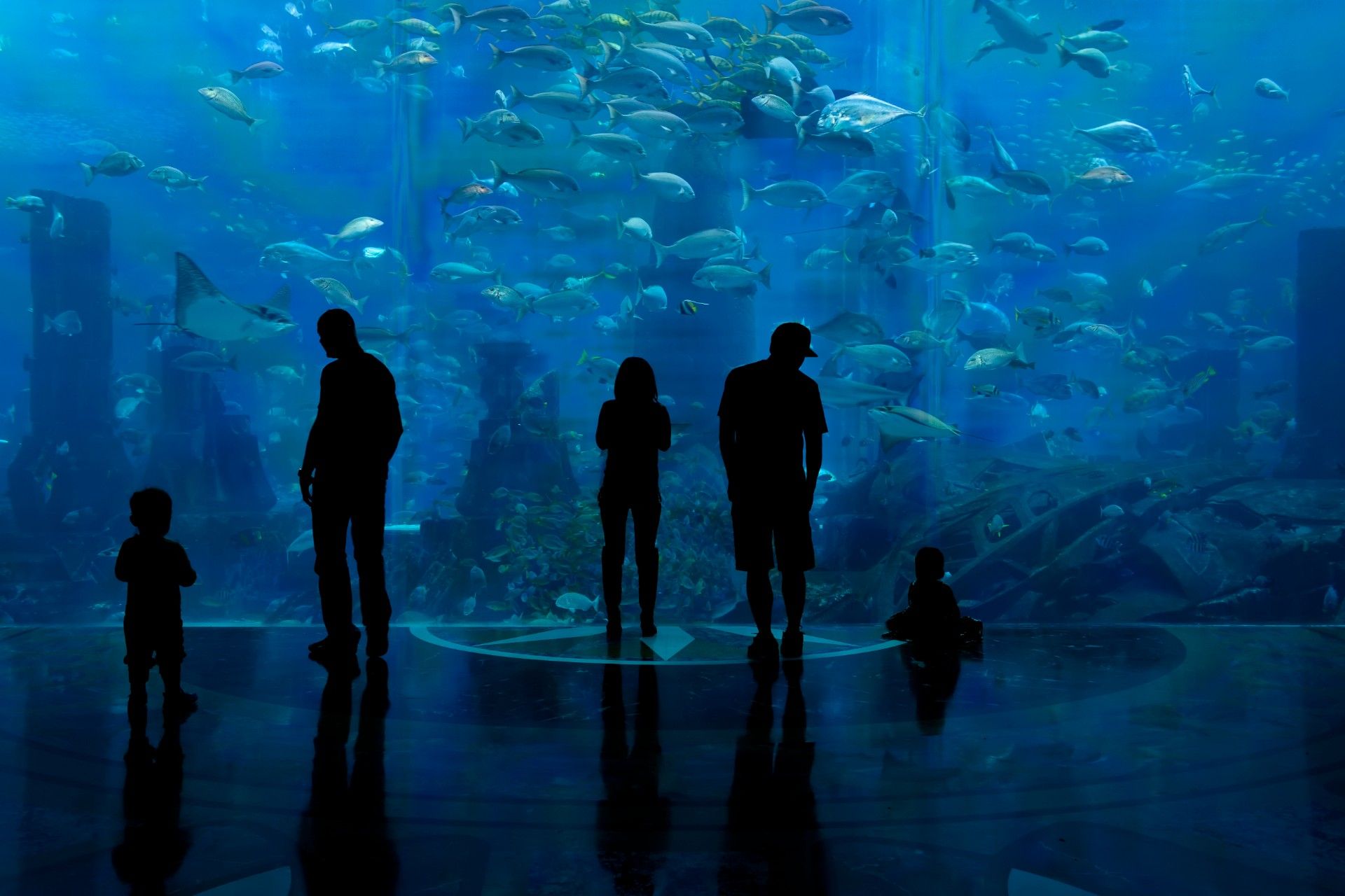 Adults and children visit a public aquarium - seaworld closure